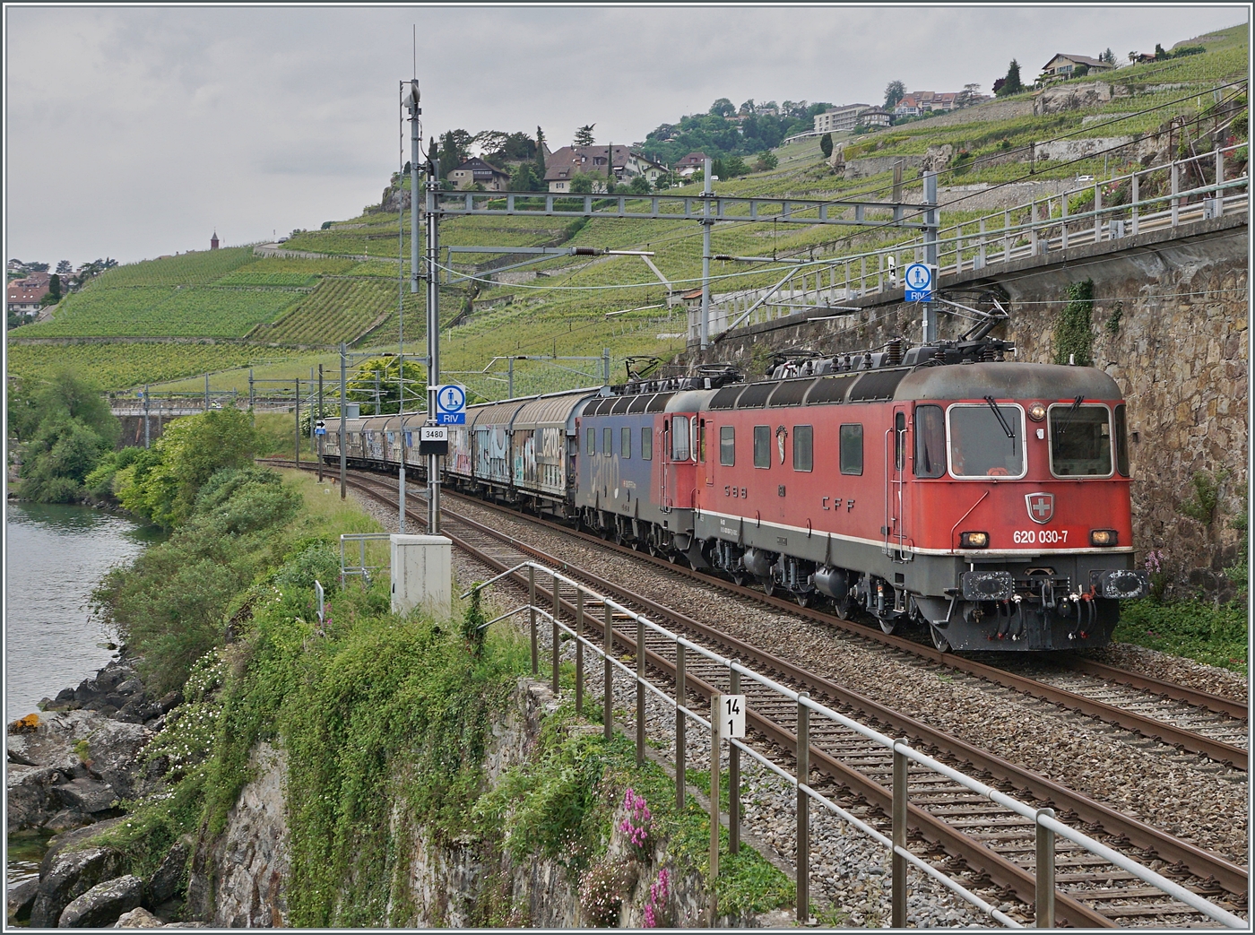 Erneut mit zwei Re 6/6 bespannt ist zwischen Rivaz und St-Saphorin der EWKV SBB Cargo Güterzug von Lausanne Triage nach Zürich RBL via Brig und Kandersteg unterwegs. An der Zugsspitze führt die rote SBB Re 6/6 11630  (Re 620 91 85 4 620 030-7 CH SBBC)  Herzogenbuchsee den Zug und dahinter hilft die Re 6/6 11624  Rothrist . Die Re 676 11630 hatte ich bereits am Vormittag mit dem Kesselwagenzug fotografieret.

16. Mai 2025