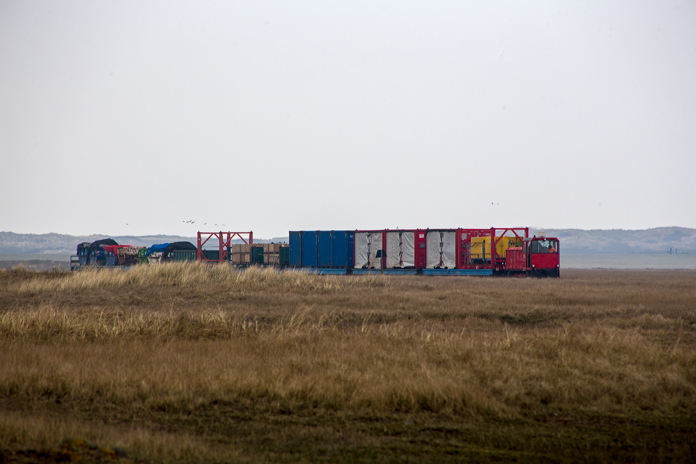 Es gibt in Deutschland auch noch schmalspurige Güterzüge, auch wenn die Wangerooger Inselbahn eine der letzten Schmalspurbahnen Deutschlands mit Güterverkehr ist. Zudem ist sie die letzte Schmalspurbahn der DB AG.

Hier kommt die DB 399 106-4 (98 80 3399 106-4 D-DB) der Wangerooger Inselbahn (SIW - Schifffahrt und Inselbahn Wangerooge),  eine ex VEB Mansfeld-Kombinat Wilhelm Piek - August-Bebel-Hütte vom Typ Faur L18H (Baujahr1990), kommt am 12 März 2024 mit einem Güterzug von Wangerooge durch die Salzwiesen und erreicht bald Wangerooge Westanleger. 

Am Westanleger wird der Güterzug dann mittels (20 t) Schwerlastgabelstapler entladen und kurz zwischen gelagert. Nach der Ankunft eines der (Cargo-) Versorgungsschiffe (RoRo-Schiffe), der Harle Express oder Harle Gatt, werden die Güter vom Schiff auf den nun leeren Güterzug umgeladen. Danach werden die zwischengelagerten Güter (meist auf oder in 20-Fuß Containern) mittels Schwerlastgabelstapler aufs Schiff verladen, die dann zum Festland nach Harlesiel gebracht werden. Da der Fähr- und Güterverkehr zwischen Harlesiel und der Insel Wangerooge sehr Tideabhängig ist, kann man oft Personen- und Güterverkehr gleichzeitig beobachten. 

Da der Fährhafen nicht, wie auf benachbarten Inseln, nahe an das Inseldorf verlegt werden kann, ist und bleibt die Wangerooger Inselbahn, auch aufgrund fehlender Alternativen, das Hauptverkehrsmittel der Insel.