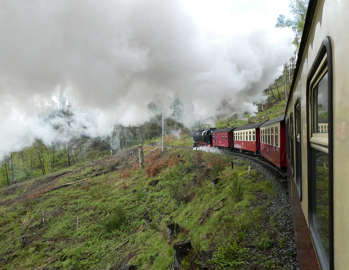 Fast die Hälfte auf diesem Bild ist mit Rauch gefüllt: Die Dampflok kämpft sich laut schnaubend bergwärts Richtung Drei Annen Hohne. Wernigerode, 17.4.2024