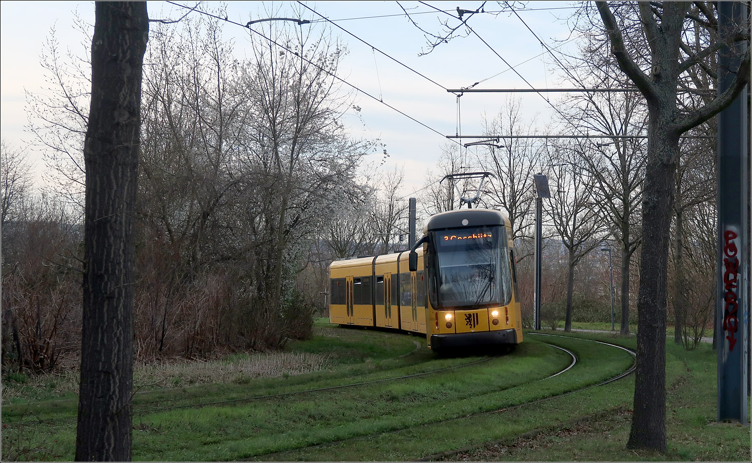 Grüne Kurve - 

Eine NGT D12DD-Straßenbahn auf der Linie 3 auf der am 10.Juni 1999 fertiggestellten Neutrassierung der Steigungstrecke hinauf nach Göschütz. Die alte Strecke führte über Altplauen und den Plauenscher Ring.

Dresden, 22.03.2023 (M)