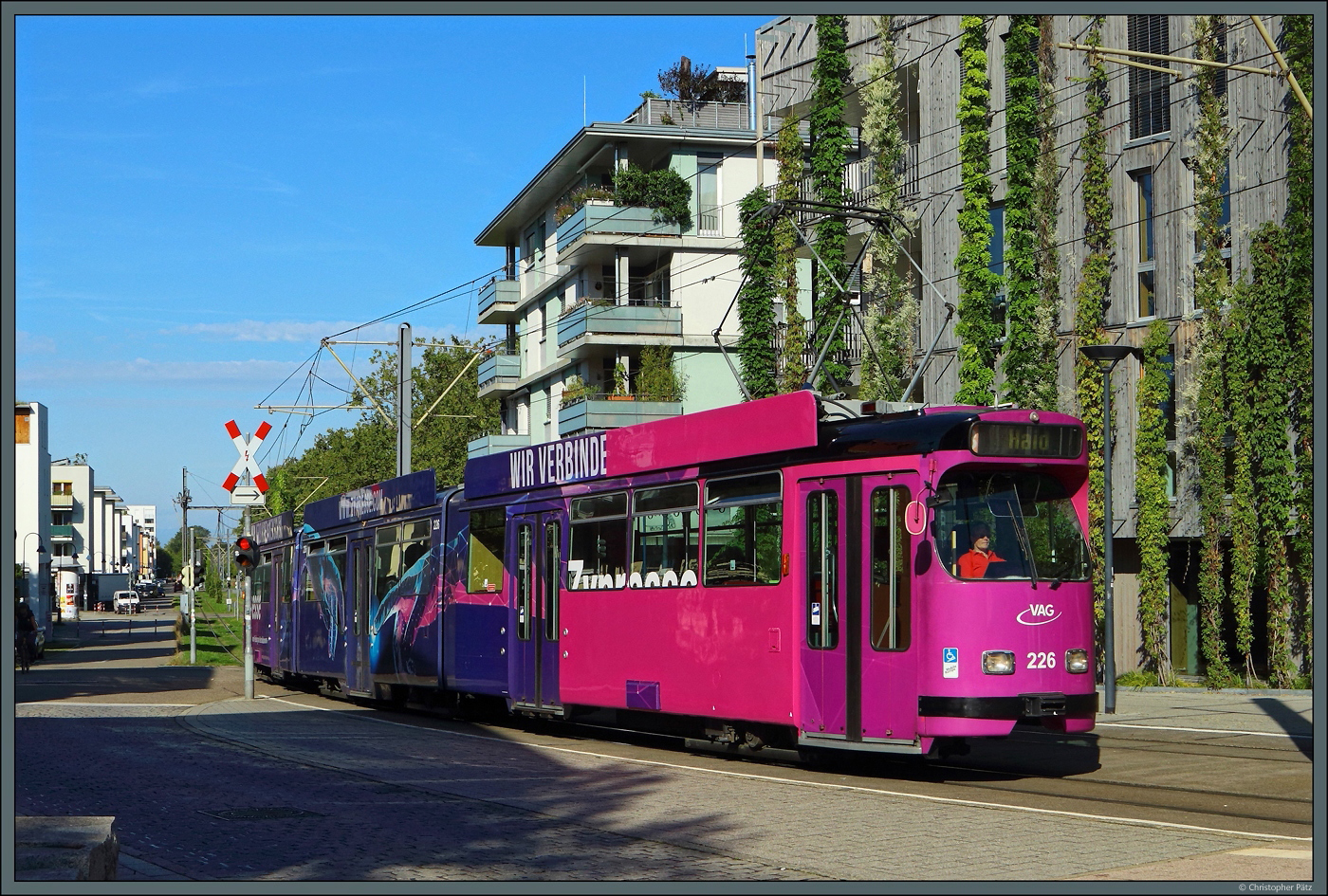 GT8N 226 der VAG rollt am 29.09.2023 durch den Freiburger Stadtteil Vauban. Der Triebwagen gehört zur letzten Serie der GT8 und verfügt über einen Niederflurmittelteil.
