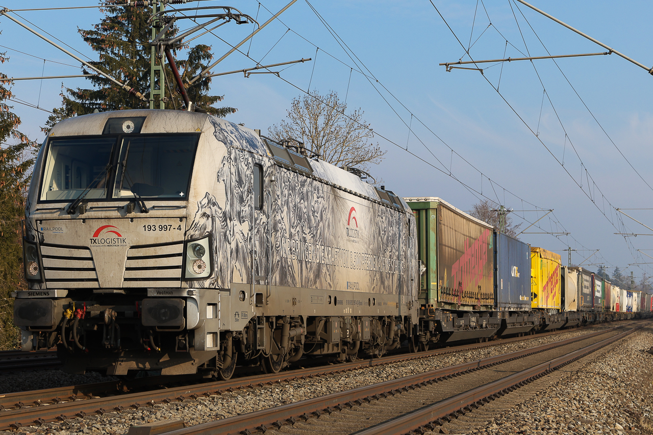 Hoppi galoppi, da kommen die Pferdchen mit der 193 997 am 10.2 25 durch Eglharting Richtung München gallopiert.