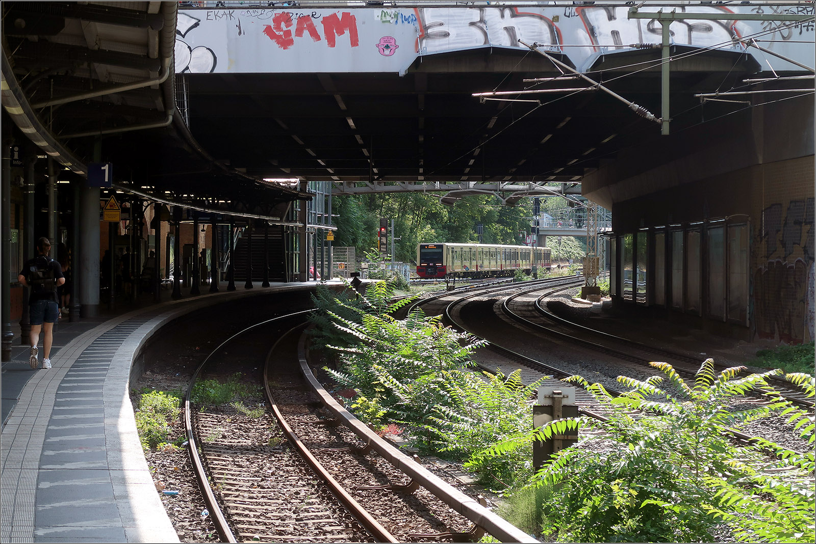 Licht und Schatten im S-Bahnhof - 

...und ein bisschen Grün zwischen den Gleisen. Im Hintergrund fährt ein S-Bahnzug der Baureihe 483/484 auf der Ringlinie S42 in die Station ein.

Berlin, Schönhauser Allee, 14.07.2023 (M)