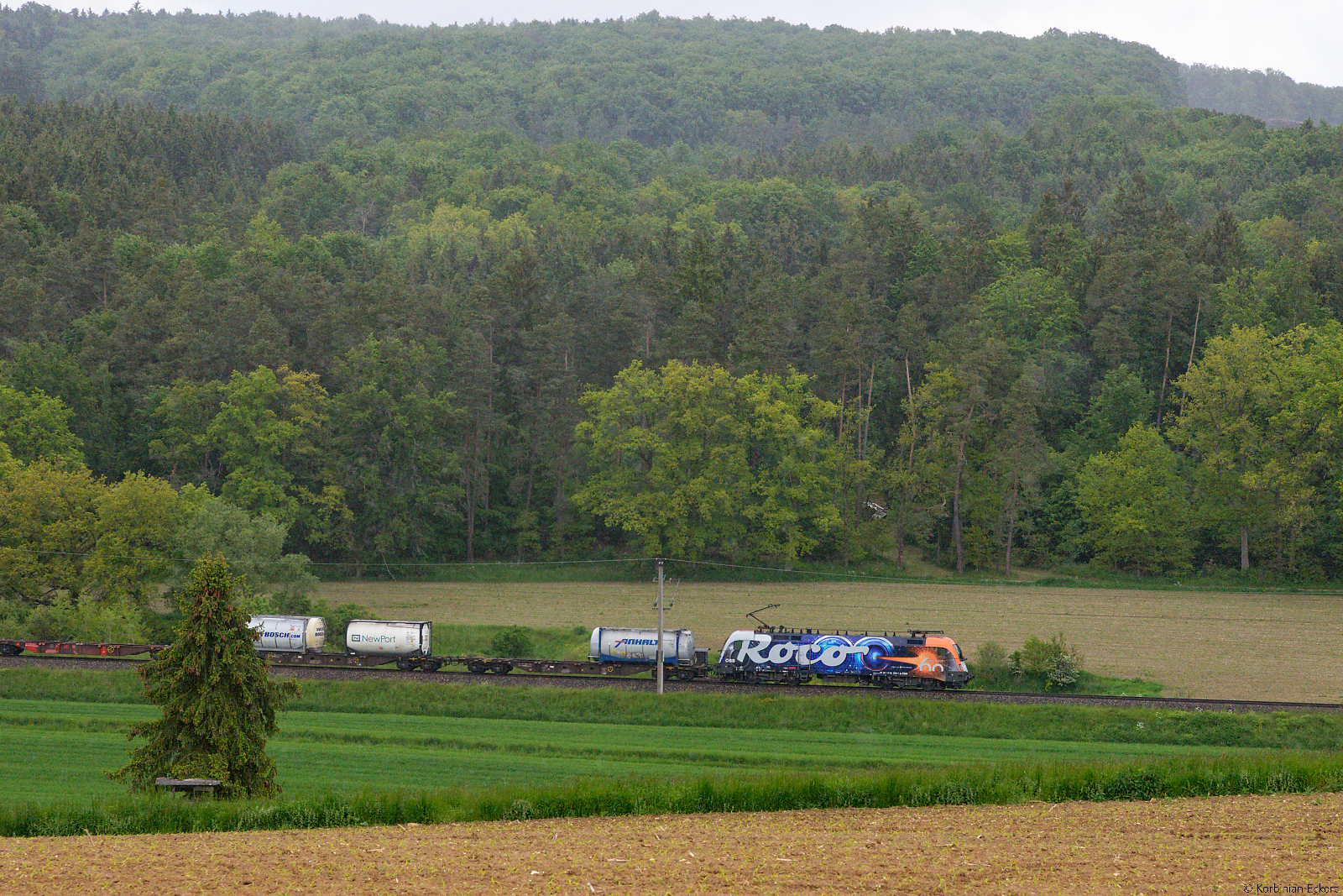 Lokportrait von 1116 199  60 Jahre Roco  im Regenschauer mit einem KLV-Zug bei Kehlheim Richtung Regensburg, 29.05.2021