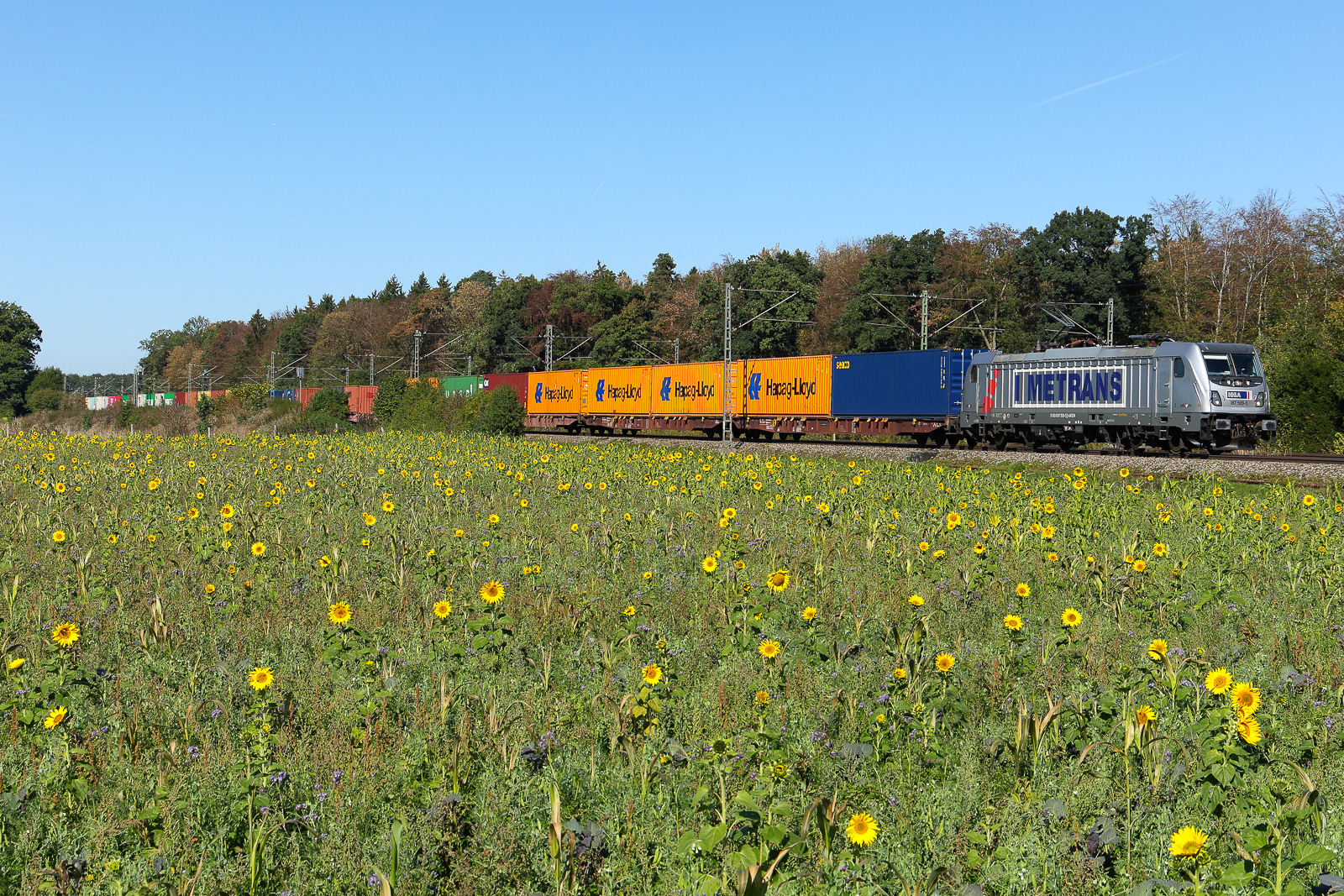 METRANS 187 509-5 am 25.9.26 mit einem Containerzug bei Eglharting.