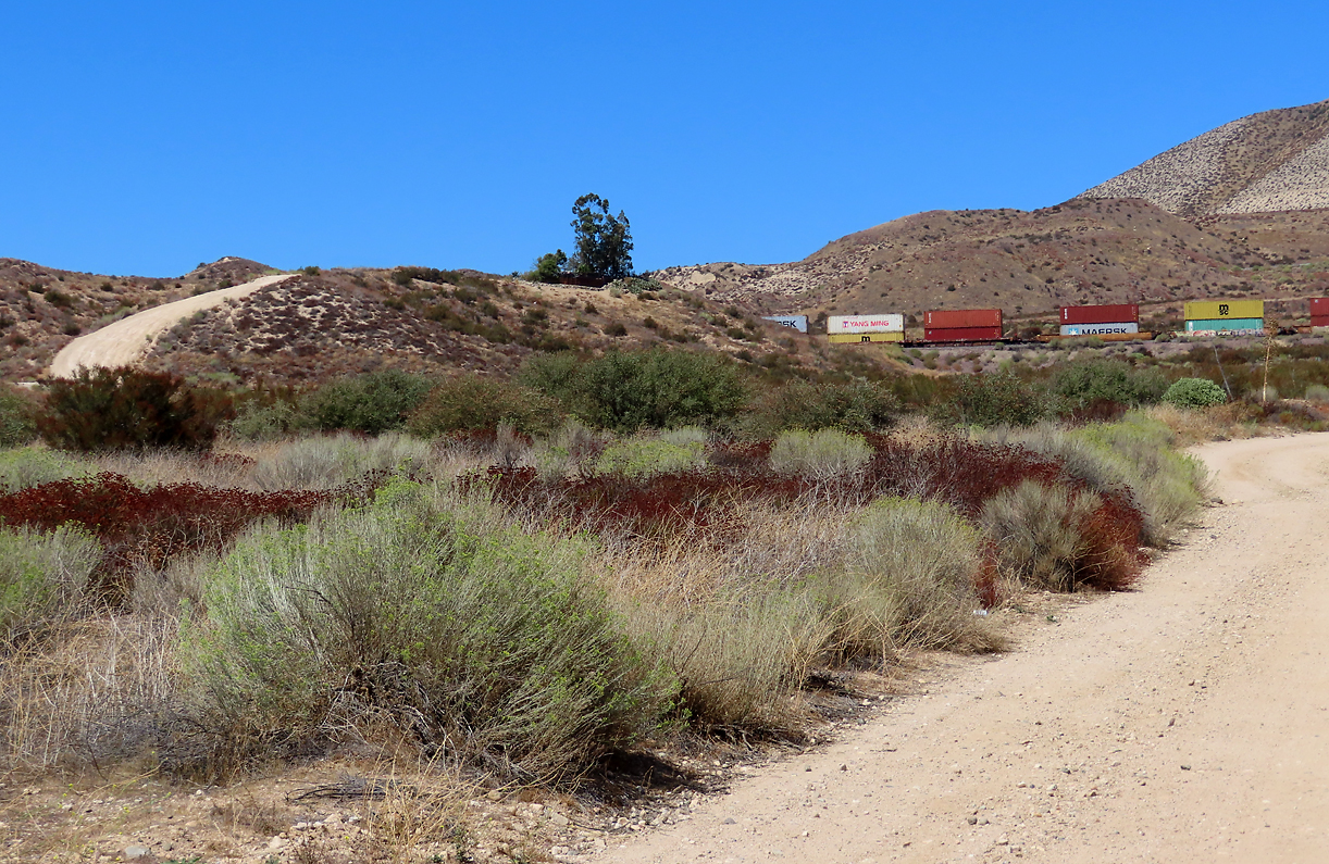 Nun ist unser Ziel in Sichtnähe: der Fotohügel Hill 582 (beim Baum). Cajon Pass, CA, 21.9.2022