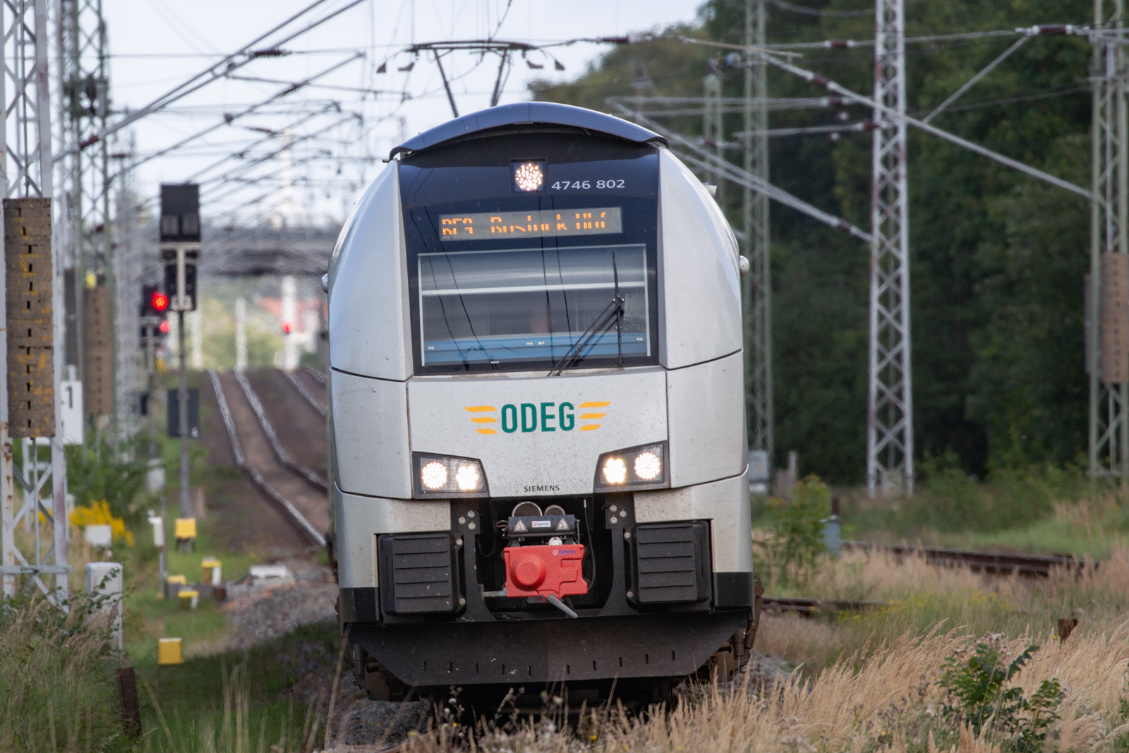 ODEG Triebwagen als RE 9 im Bahnhof Samtens mit Fahrtrichtung Stralsund. - 28.08.2023 - Aufnahme vom Bahnsteigzugang.