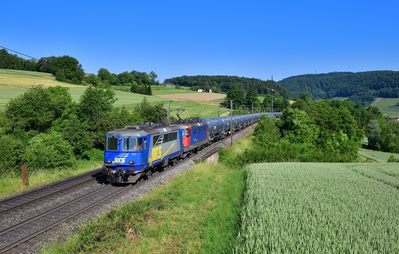 Re 420 502 + Re 421 374 mit einem Kesselzug am 07.06.2023 bei Hornussen.