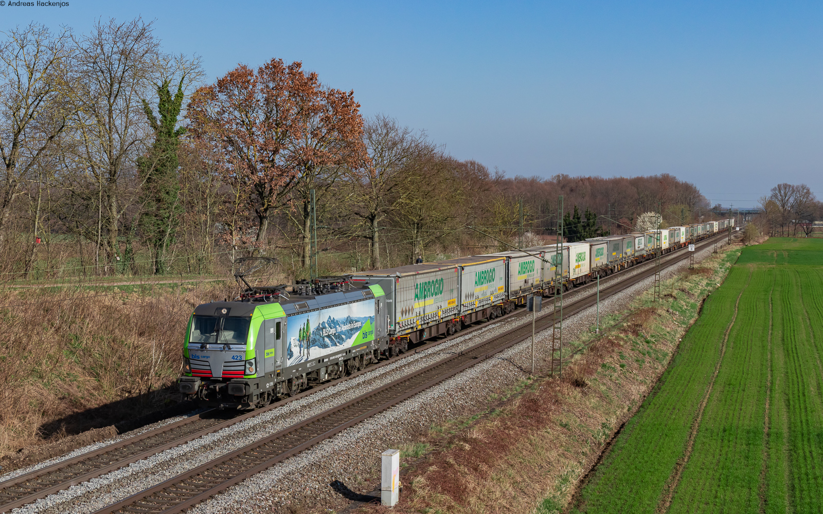 Re 475 423 mit dem DGS 40155 (Muizen - Luino) bei Friesenheim 8.3.24