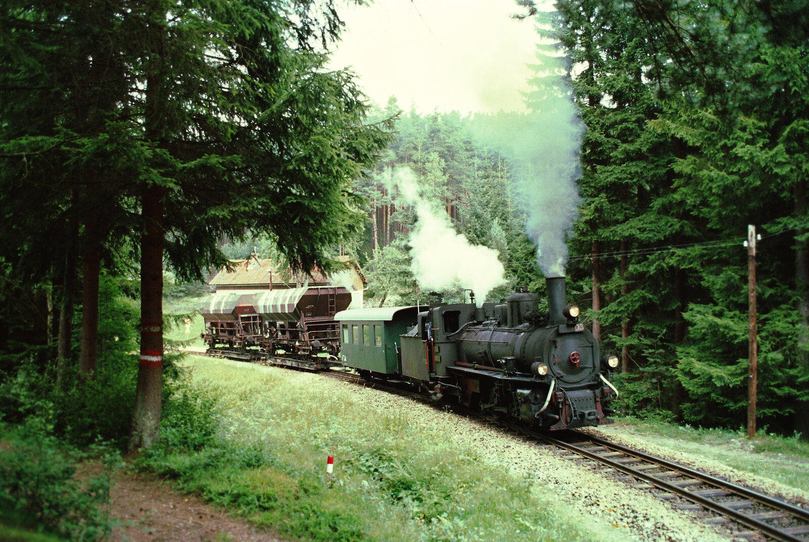 Regulärer Zug der Waldviertelbahn mit ÖBB-Dampflok 399.03.
Datum: 20.08.1984 