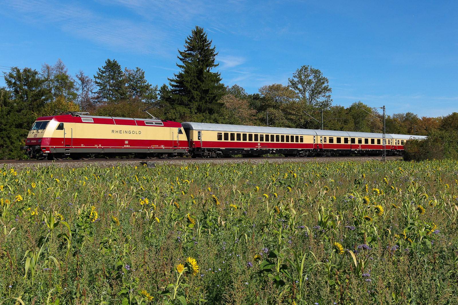 Rheingold 101 001 mit den passenden Wagen gibt sich mal wieder die Ehre am 27.09.26 bei Eglharting.
