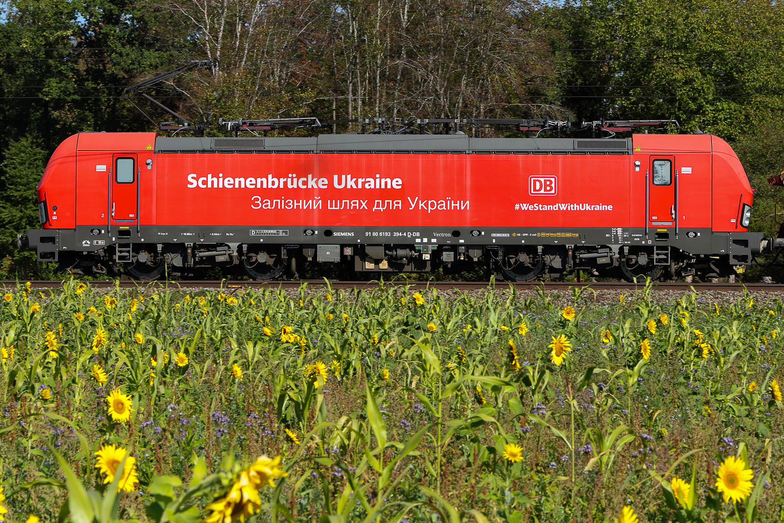 Schienebrücke Ukraine 193 394, kannte ich gar nicht, und dann hat sie sich mal nach Süddeutschland verirrt. Gestern und heute bei Eglharting. 27/09/26