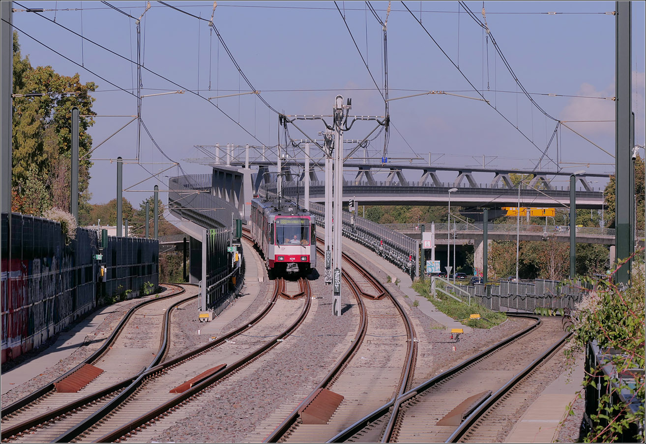 Sehr gro�z�gig - 

... und kreuzungsfrei wurde der Abzweig der neuen U80 zum D�sseldorfer Flughafen n�rdlich der Stadtbahnhaltestelle Freiligrathplatz ausgef�hrt. Bedingt war dies durch die notwendige Querung der autobahnm��ig ausgebauten Bundesstra�e 8, der Danzinger Stra�e die hier mit einem Br�ckenbauwerk gequert wird. Ein vom Flughafen kommender Zug der U80 (4236) f�delt sich hier in die Strecke der U79 ein.

12.10.2026 (M)