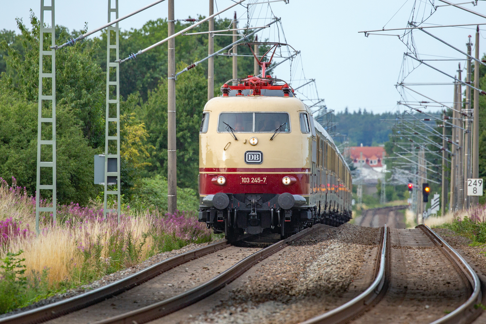 Sonderzug mit der DB Lok 103 245 auf der Rückfahrt von Binz zum Hbf Göttingen nach der Ausfahrt in Bergen auf Rügen. - 05.08.2023
