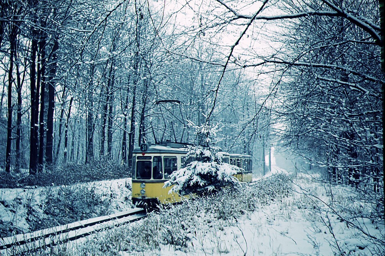 SSB Stuttgart__Zug der Linie 31 von Plieningen im Wald vor der Haltestelle 'Landhaus'.__12-03-1973