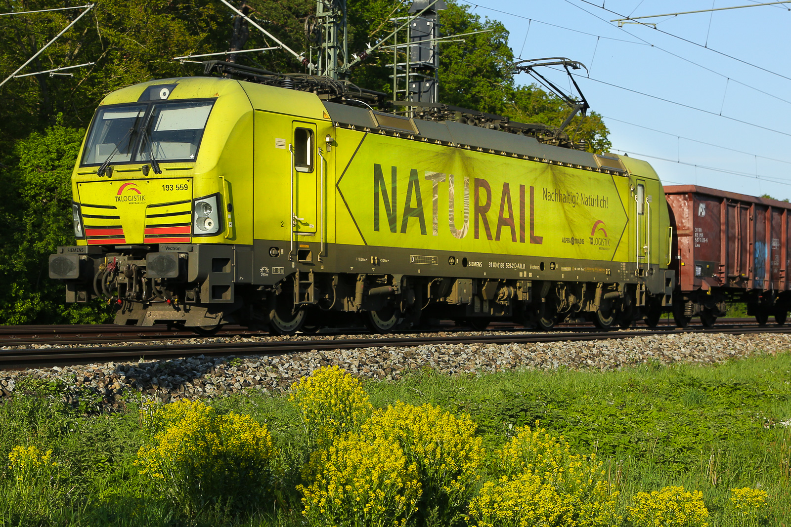 TXL 193 559 mit KLV und Blumen am 1 Mai 2024 bei Zorneding.