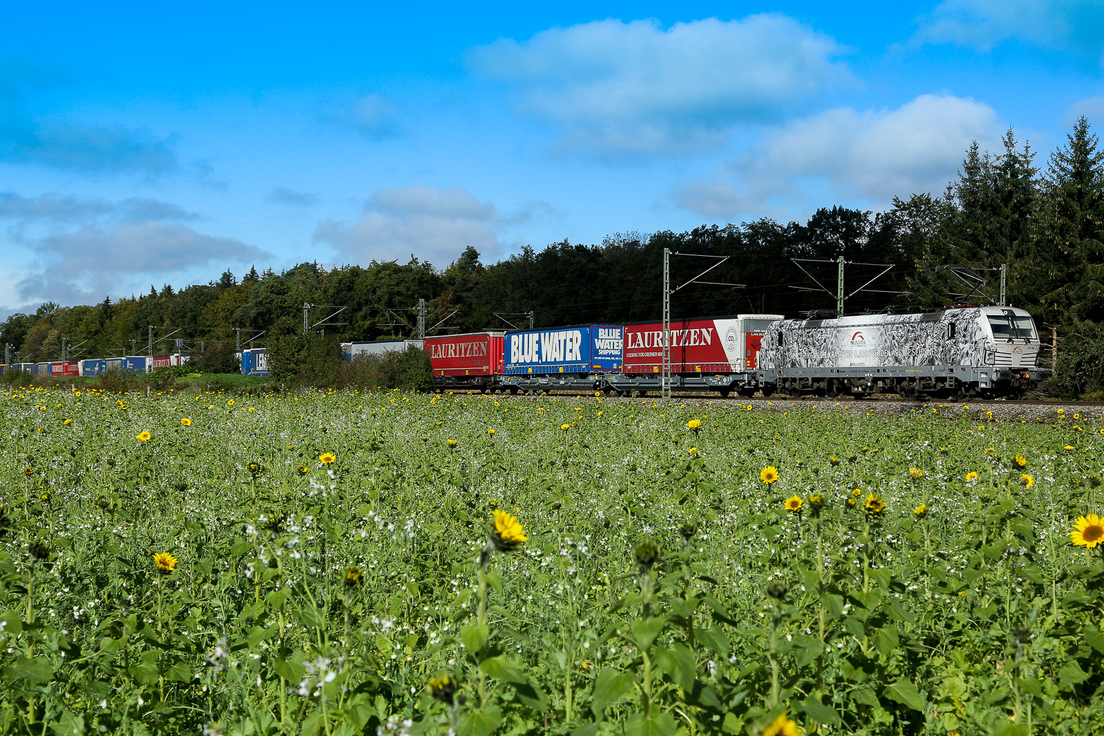 TXL 193 997-4  8500 Pferde  mit KLV bei Eglharting am 6.10.24 mit einigen Wägen im Schlepptau.
Jetzt kommen die Herbst Sonnenblumen raus und geben einen schönen Vordergrund auf den ich schon lange gewartet hatte.
