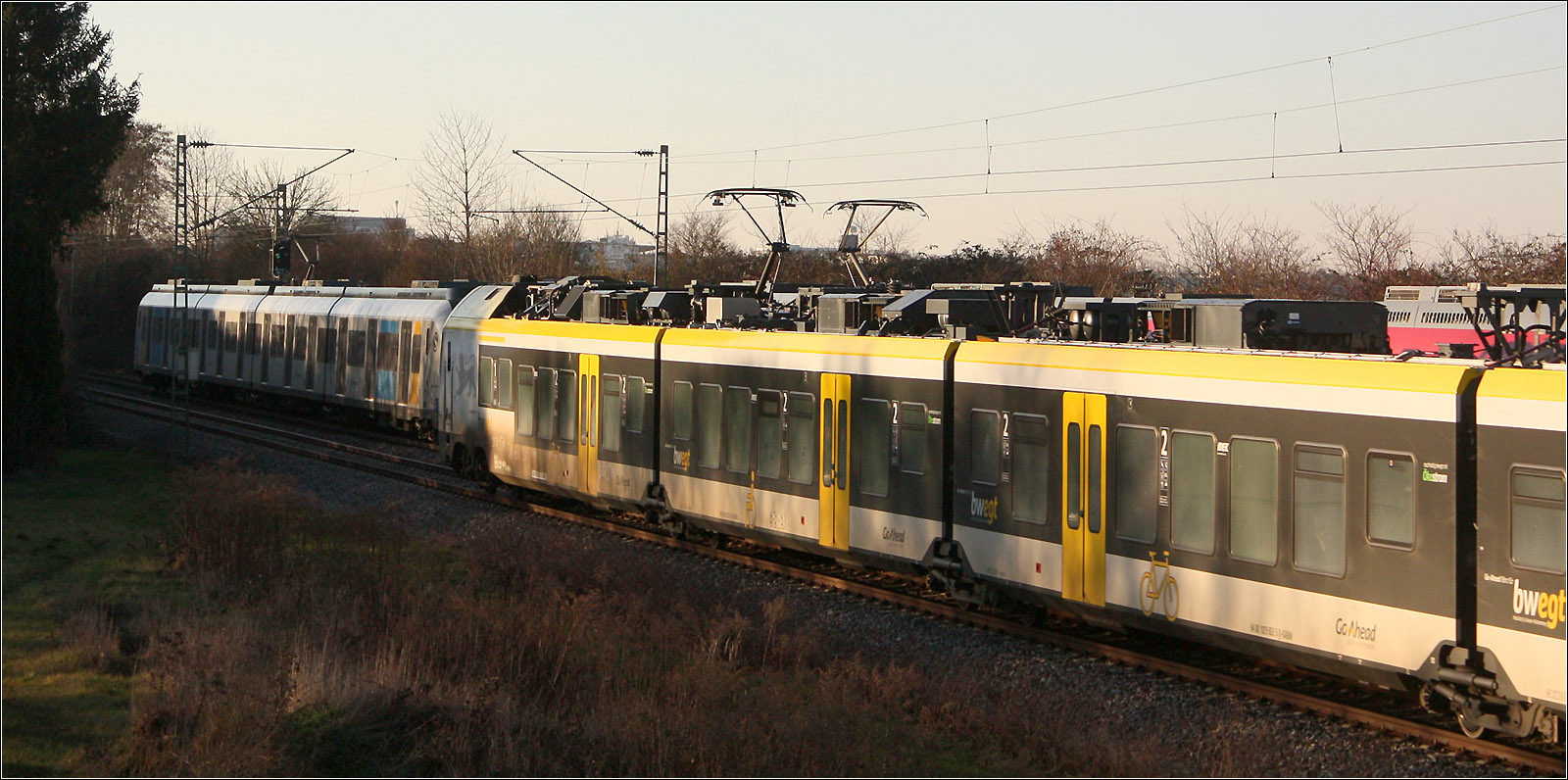 Verschmelzung - Episoden einer Zugbegegnung - 

Die S-Bahn und der Kopf des Flirt-Triebzuges befinden sich im Schatten und verschmelzen scheinbar miteinander. Die beiden beiden Stromabnehmen sind zueinander abgewandt und rechts kommt die Farbe Rot ins Spiel.

Ein S-Bahnzug der Linie S2 begegnet einem Flirt-3 Triebzug auf der Remsbahn bei Weinstadt-Endersbach.

13.02.2023 (M)