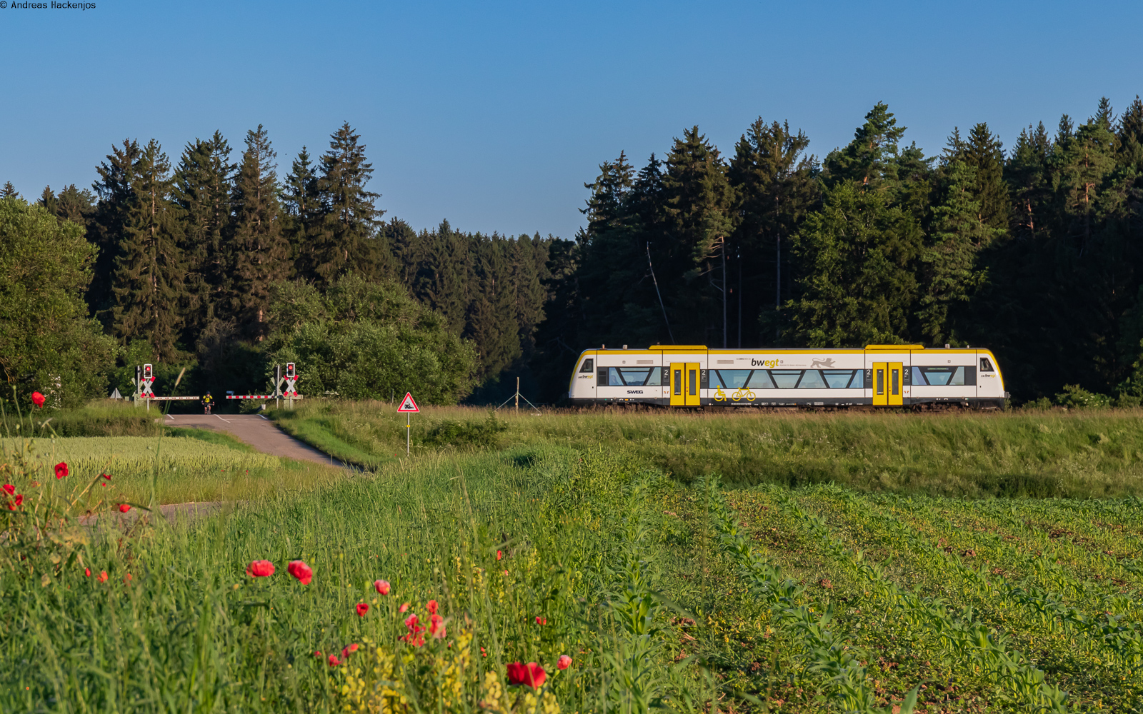 VT 237 als SWE 69709 (Villingen - Rottweil) bei Zollhaus 25.6.24