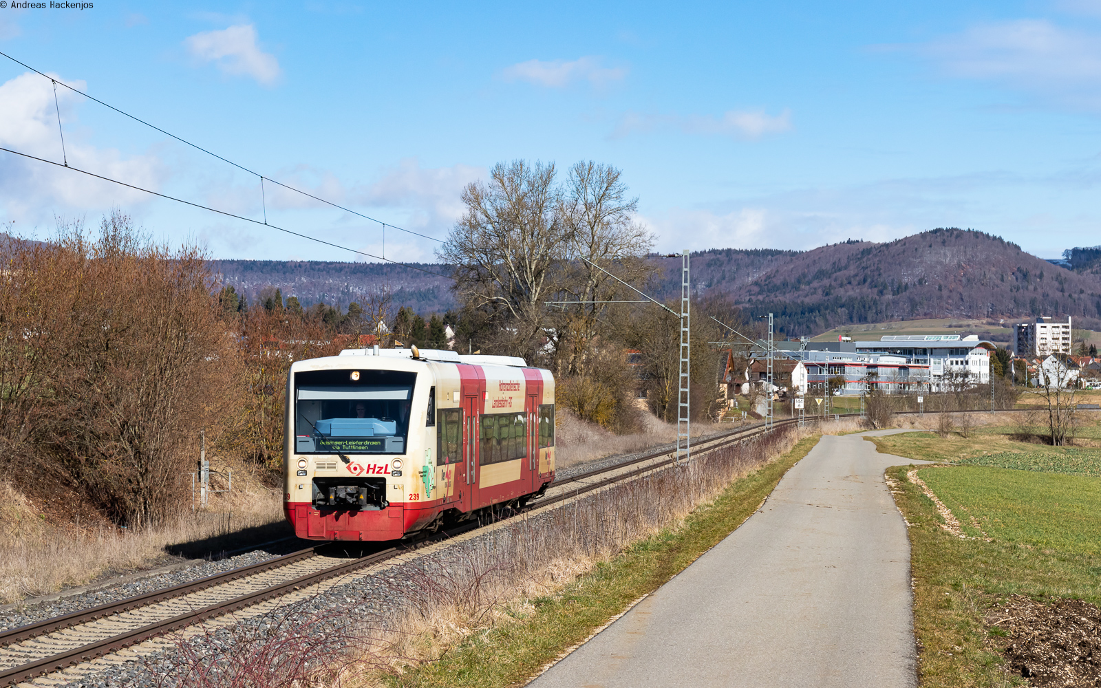 VT 239 als SWE69835 (Rottweil - Geisingen-Leipferdingen) bei Weilheim 15.3.23