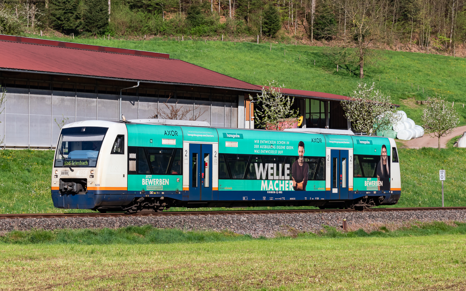VT 528  Hans Grohe  als SWE 87364 (Offenburg – Bad Griesbach) bei Oppenau 11.4.24