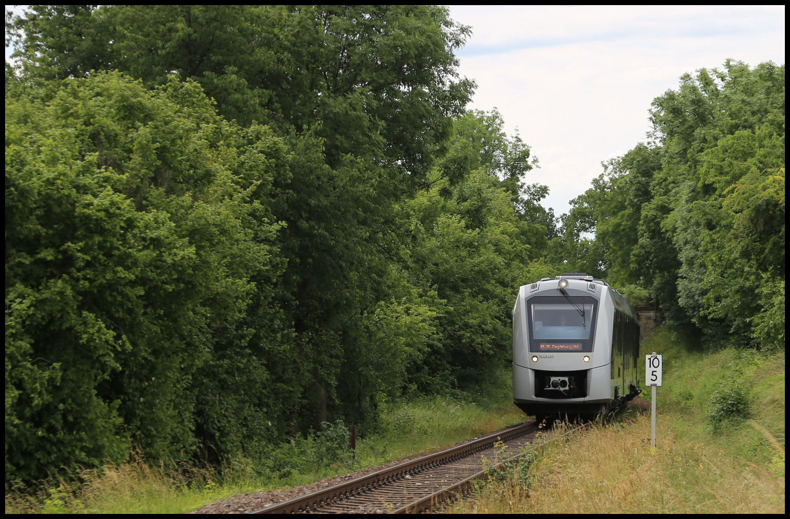VT 648405 ist hier bei Km 10,5 am 20.06.2026 um 10.49 Uhr kurz vor dem Bahnhof Langenstein als RE 31 nach Magdeburg unterwegs. 