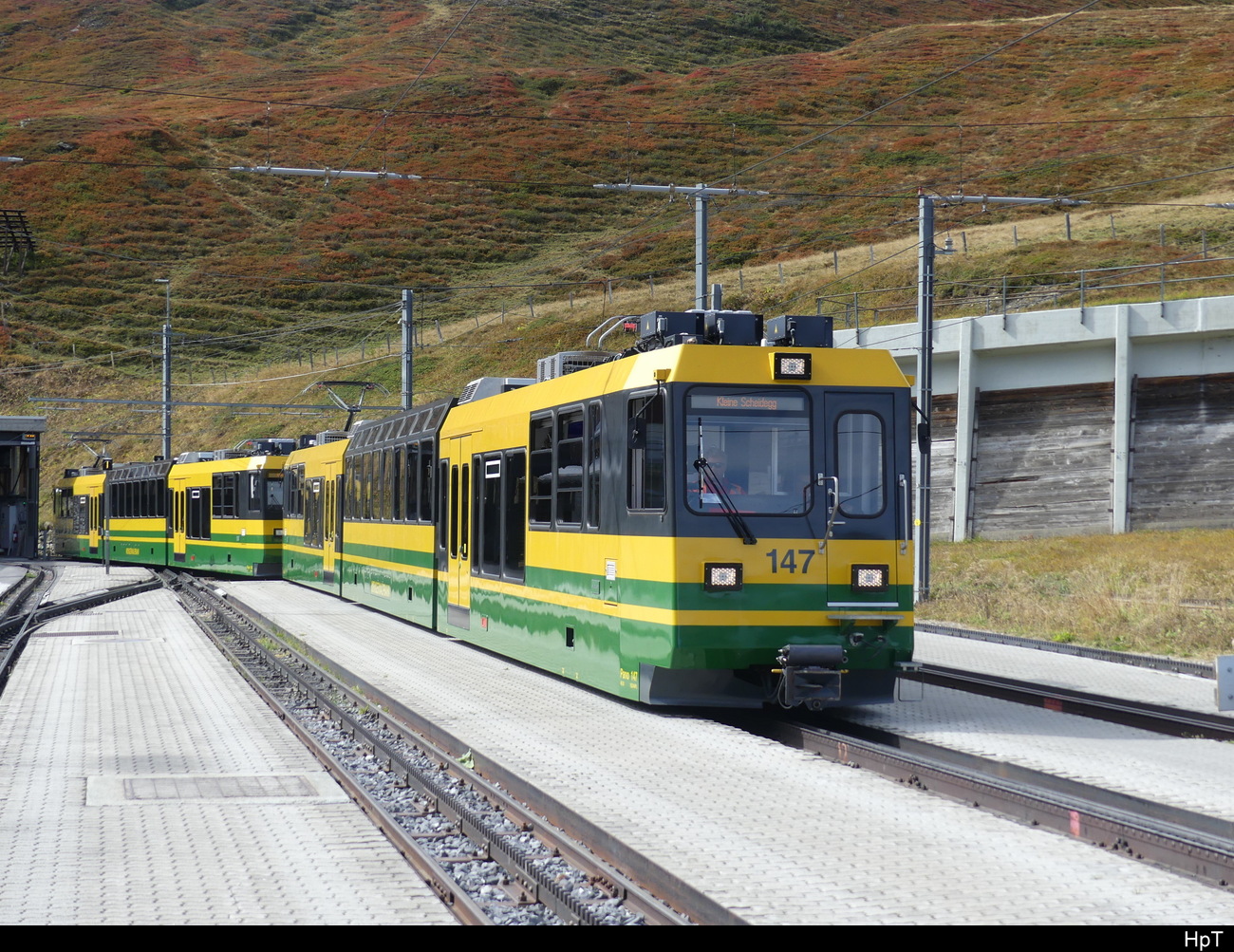WAB - PANO Bhe 4/8 147 + Bhe 4/8 150 im Bahnhof Grindelwald am 28.09.2023