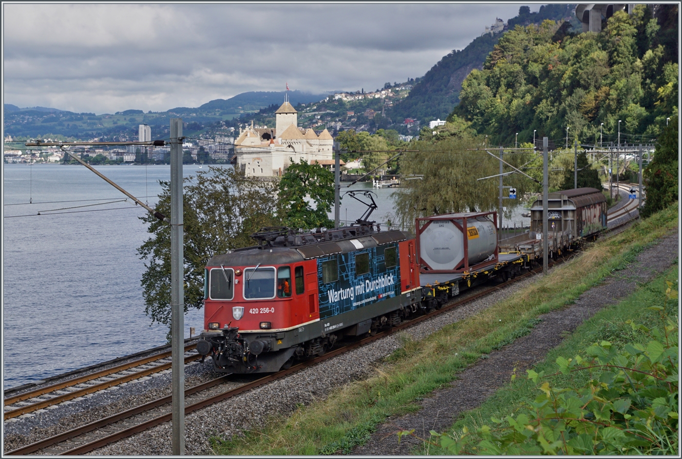  Wartung mit Durchblick  - dies mag bei den SBB Re 4/4 II 11250 wohl stimmten, sind die Lok der ab 1964 gebauten Lokbaureihe auch heute noch im Einsatz. 

Die SBB Re 4/4 II  11250 (Re 420 250-0) ist mit einem kurzen Güterzug kurz vor Villeneuve auf dem Weg in Richtung  Wallis. 

6. September 2024