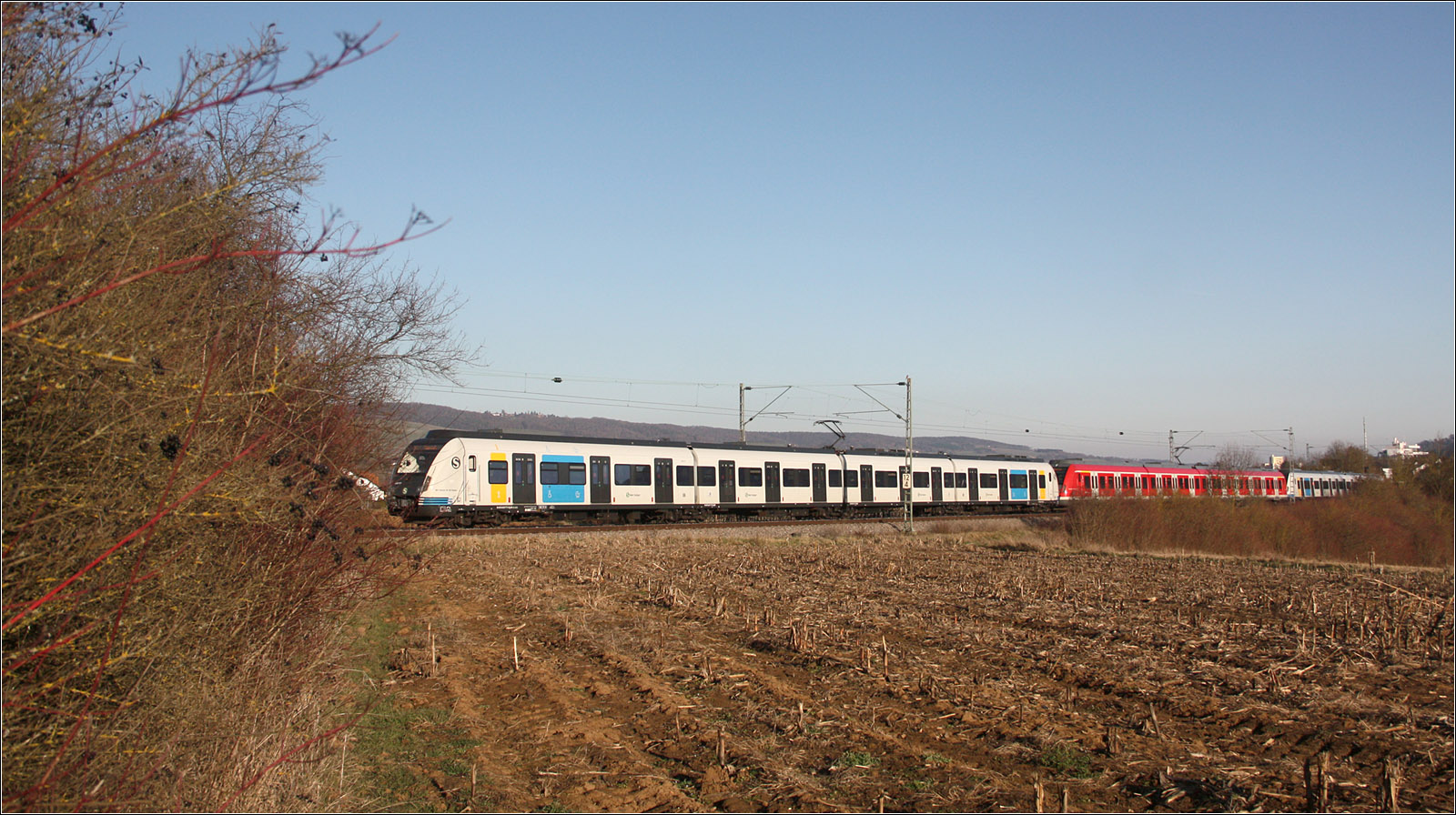 Weiß-Rot-Weiß - 

Exakt eingepasst zwischen das Gebüsch rechts und das Gebüsch links ist hier der erste Triebwagen eines Langzuges auf der S2 in Fahrtrichtung Stuttgart. Da nur neue bzw. alte Triebwagen der Baureihe 430 miteinander gekuppelt werden können, handelt es sich auch bei dem mittleren Wagen um einen neu gelieferten Zug, allerdings in der alten Farbgebung.

Bei Weinstadt-Endersbach, 13.02.2023 (M)