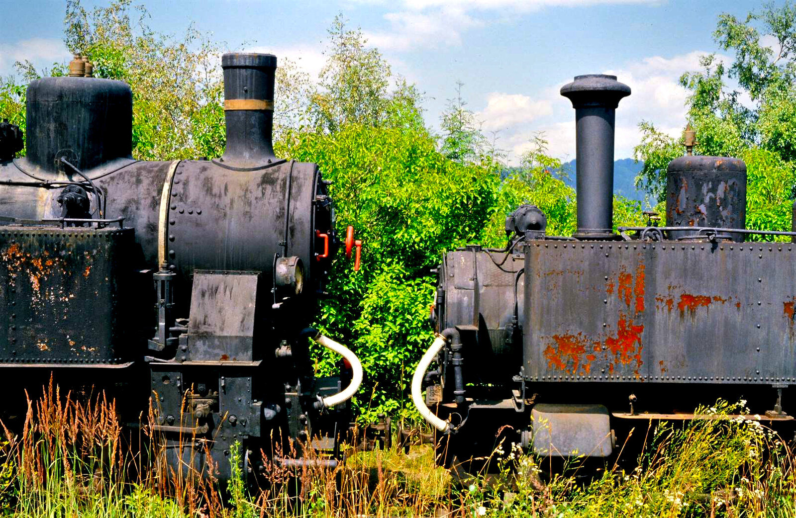 Wertvolle Dampfloks im Freien! Ich empfand etwas Unwohlsein dabei. Es ist zu hoffen, dass sie bei der Gurktalbahn, wo sie abgestellt waren, restauriert wurden.
Datum: 26.07.1986