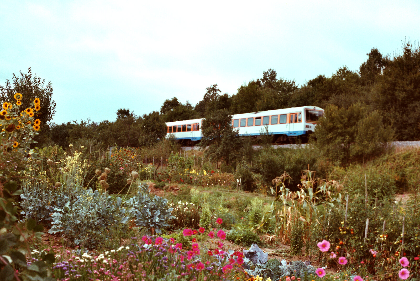 Zug der Strohgäubahn Korntal-Weissach mit Wagen der Baureihe NE 81 aus der ersten Serie, 1983