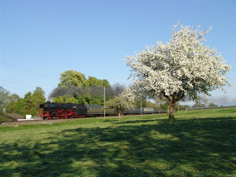 01 1066 der UEF (Ulmer Eisenbahnfreunde) am 1.5.05 in Uttwil
