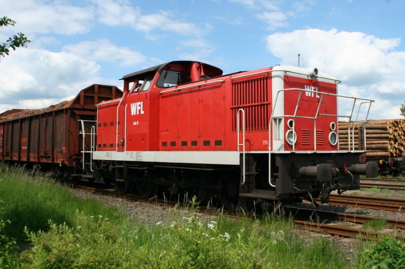 07.06.06 Bf. Hagenow Stadt WFL Lok 8 mit Gterzug