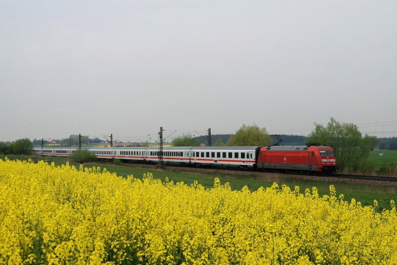 101 031  mit IC 2295 vor Mammendorf (24.04.2007)