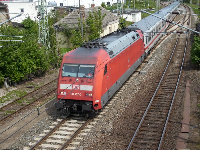 101 037 mit dem IC 2377 Binz-Karlsruhe am 17.Mai 2009 bei der Einfahrt in Bergen/Rgen.