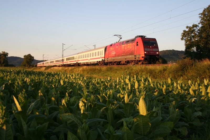 101 047 mit einem IC bei Heddesheim am 22.7.2007