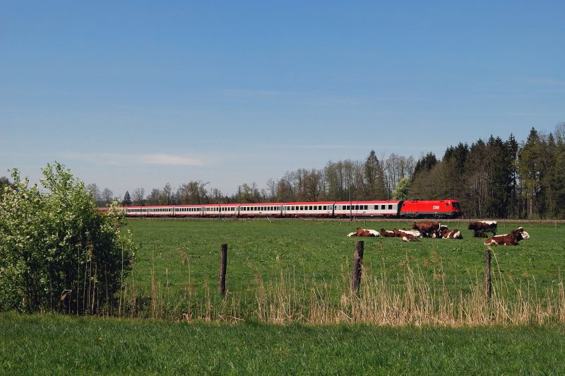 1016 001 mit OEC 565 bei bersee (27.04.2008)