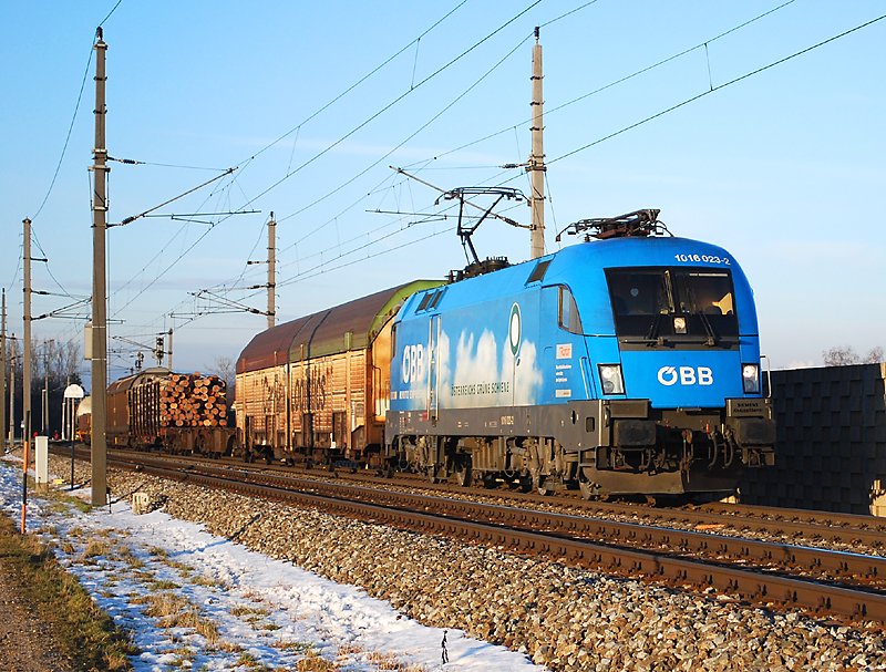 1016 023  Kyoto  auf dem Weg nach Graz Vbf kurz vor Nettingsdorf bei strahlendem Abendlicht am 3.2.2009 P.s.: Ich wei, Masten in der Lok, aber bei den anderen Bilder habe ich den Mastschatten mitten in der Lok, da ist mir das Bild doch viel lieber :-)