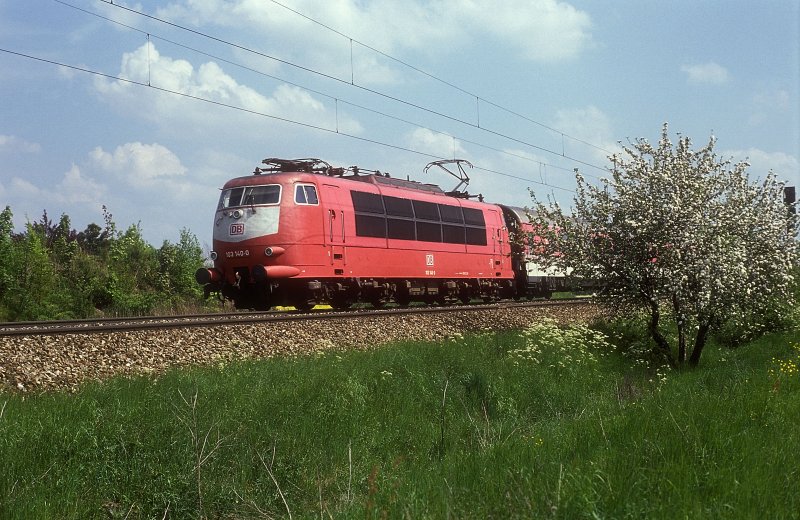 103 140  bei Mehring  13.05.94