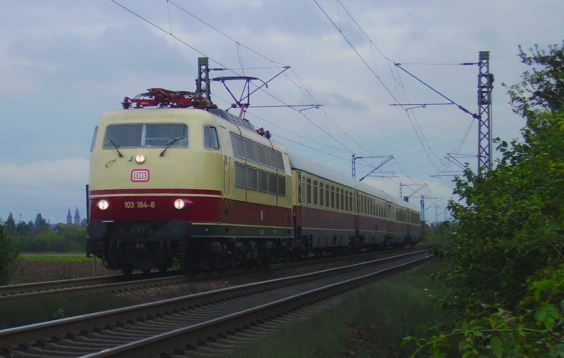 103 184 am 23.10.06 mit TEE bei Worms.