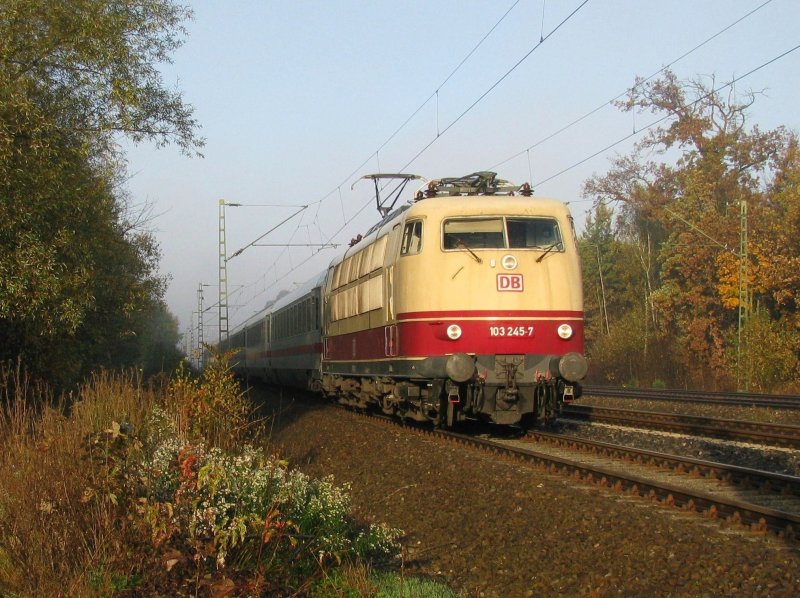 103 245 mit IC 81 am 26.10.2008 in Haar (bei Mnchen).