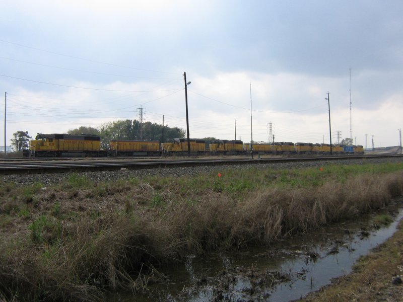 11 Loks, davon 10 der Union Pacific, sind am 1.12.2007 auf einem Rangierbahnhof in Houston (Texas) abgestellt.