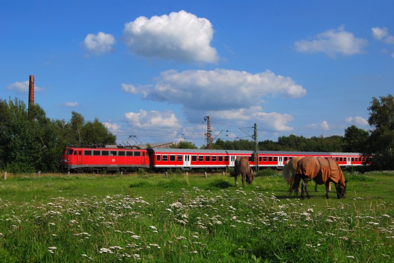 110 462 zieht ihre RB nach Bremerhaven-Lehe, hier in Oldenbttel. 31.07.09