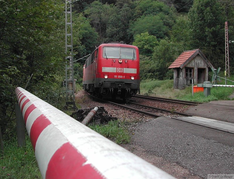 111 050-1 hat den Anstieg der Schwarzwaldbahn fast geschafft. Hier am Holzabfuhrweg zwischen Tannenwald- und Tannenb�hltunnel, 17. August 2006.