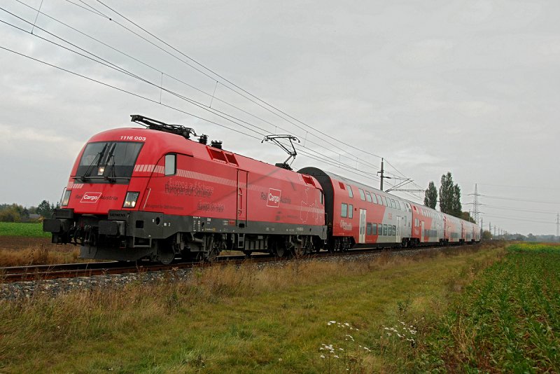 1116 003  Rail Cargo Austria  war am 23.10.2009 unter anderem auch am REX 7120 nach Krems a. d. Donau unterwegs. Die Aufnahme ist kurz nach Stockerau entstanden.