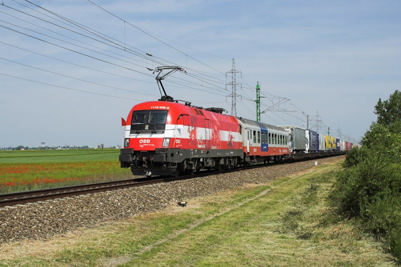 1116 005 ist mit einer Rollenden Landstrae von Wels nach Szeged unterwegs. Hier hat er bereits den grten Teil seiner Reise hinter, als gerade Kecskemt verlassen hat.