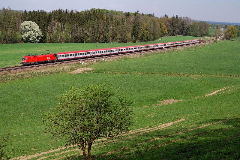1116 072 mit Umleiter-OEC 668 bei bersee (21.04.2009)