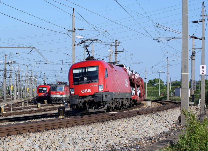 1116 085 legt sich mit ihrem Autoganzzug in die Kurve. Wien Zentralverschiebebahnhof, 07.05.2009