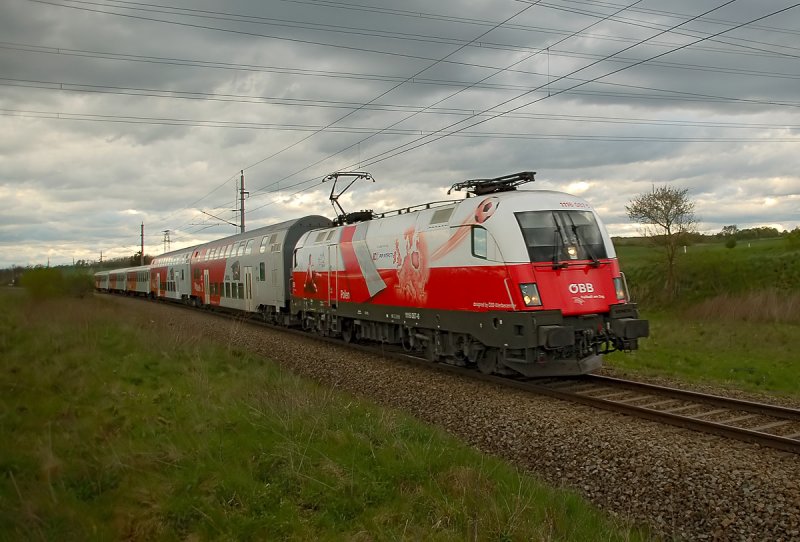 1116 087 vor dem Regionalzug R 2229  Retzer Land  nach Wiener Neustadt. Das Foto entstand unter bescheidenen Lichtverhaeltnissen zwischen Ober Olberndorf und Stockerau, am 19.04.2008.