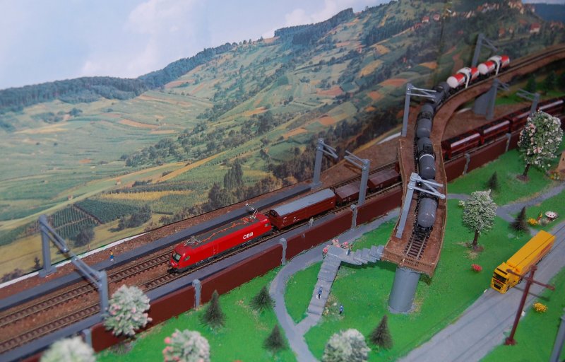 1116 101 Im Massstab 1:160 (N) ist mit einem Gterzug
auf meiner Anlage unterwegs.(22.08.2009)